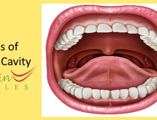 What is meant by Oral Cavity?